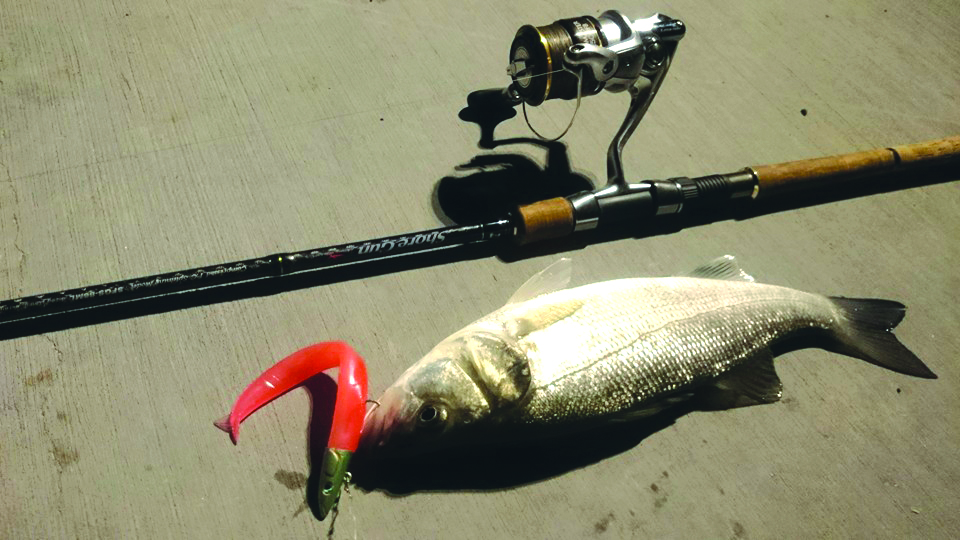 Cyprus Fishing Magazine Η σημασία και ο τρόπος ρύθμισης των φρένων